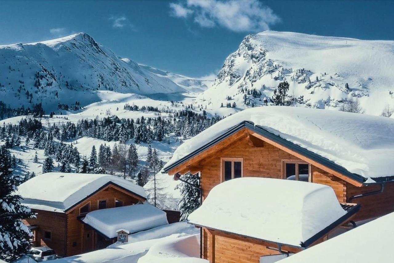 Heidi Chalets Falkert Heidialm - Chalets Bergwinter Patergassen Exterior photo
